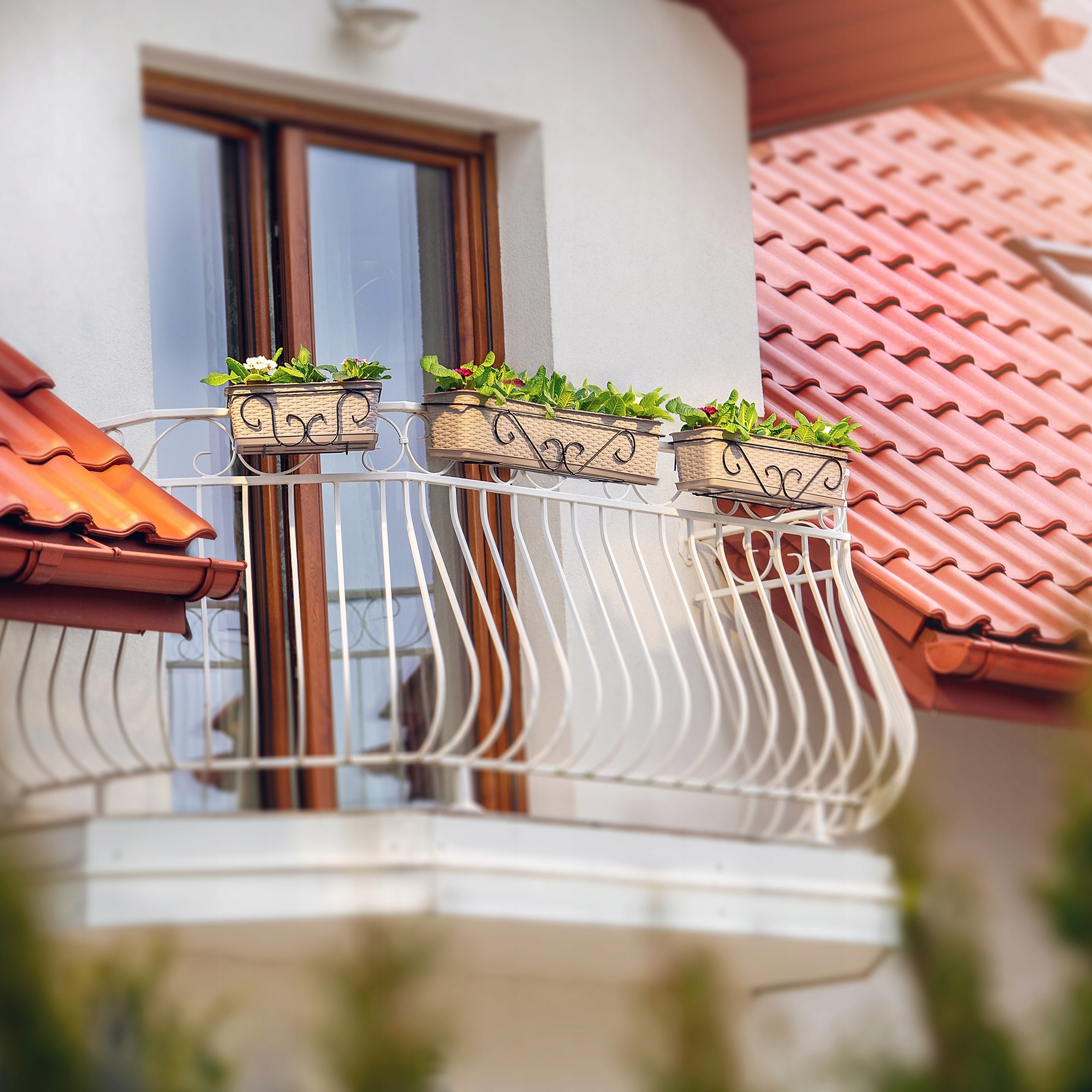 UCHWYT WIESZAK METALOWY NA DONICZKĘ BALKONOWĄ SKRZYNKĘ DONICZKI 60cm CZARNY Kolor czarny