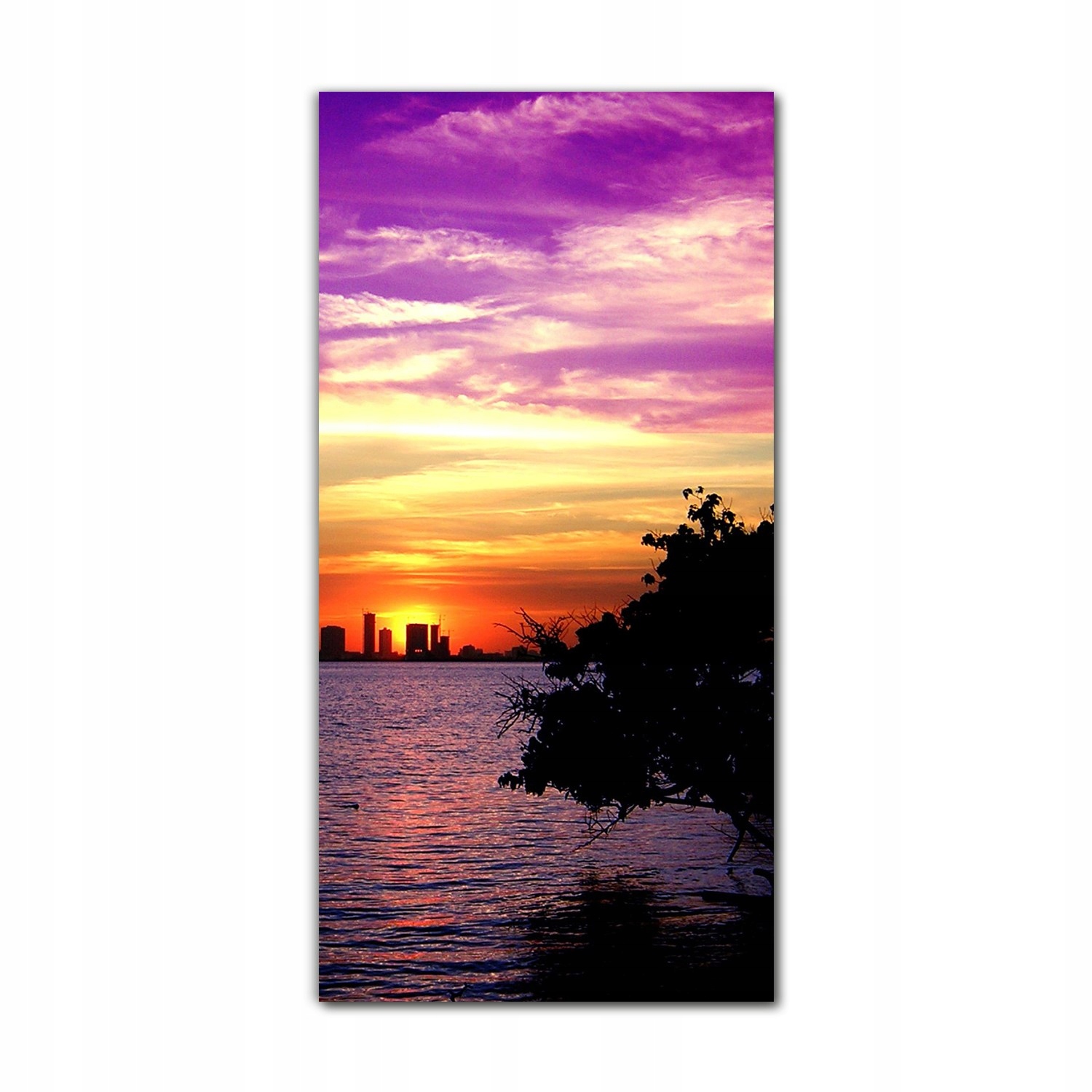 

Obraz na szkle do sypialni 70x140 Miami zmierzch