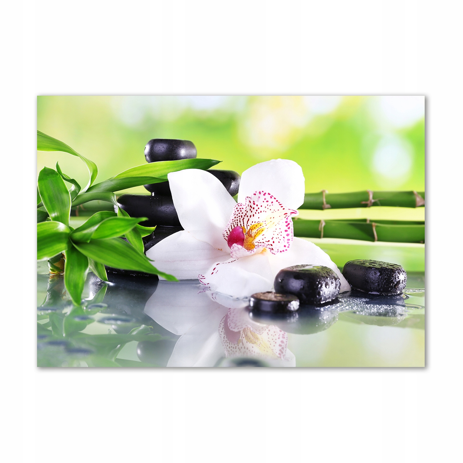 

Foto obraz szkło hartowane Orchidea 100x70