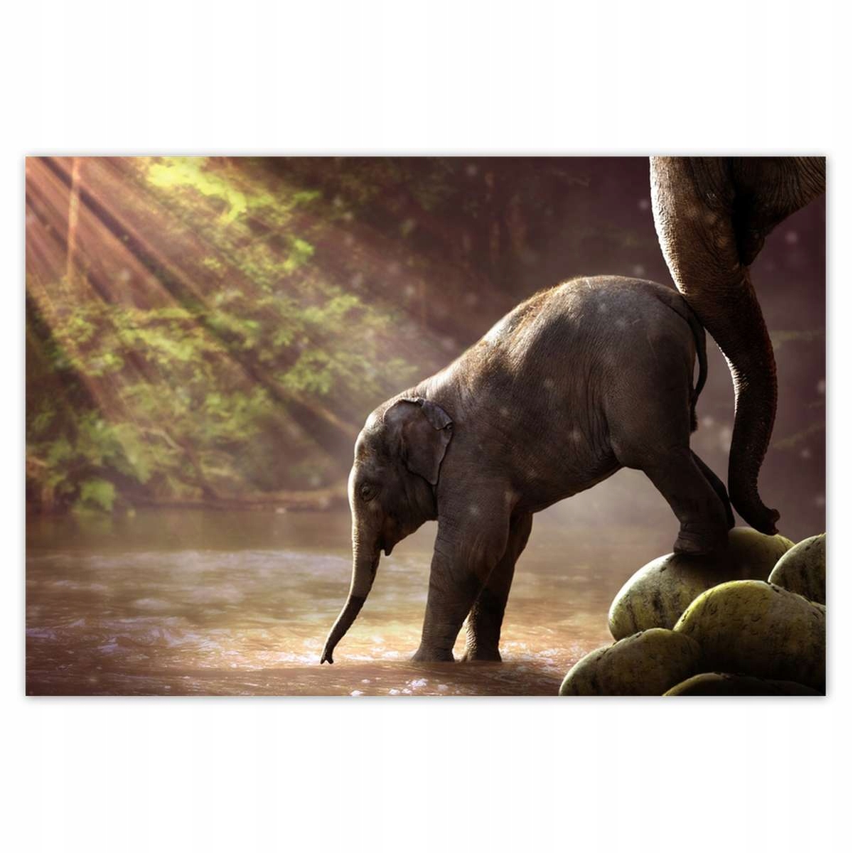 Plakáty 200x135 Mateřská láska