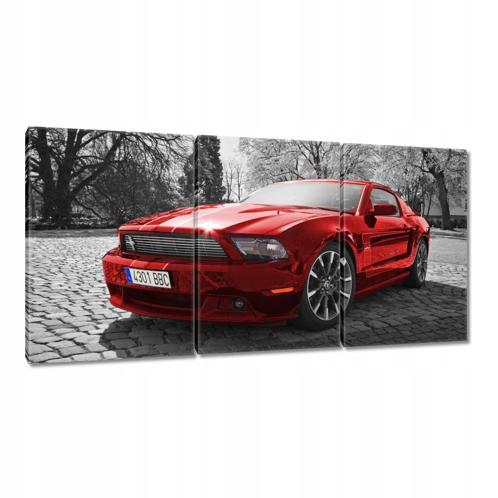 

Obraz 240x120 Czerwony Mustang