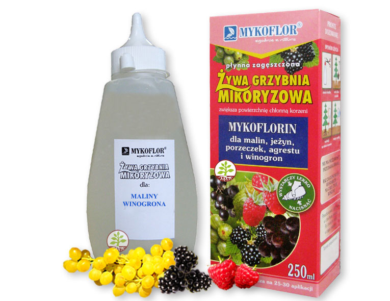 

Mikoryza dla Malin Porzeczek Winorośli Mykoflor