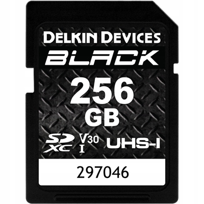Delkin Sd karta Black Rugged Uhs-i (V30) R90/W90 256GB