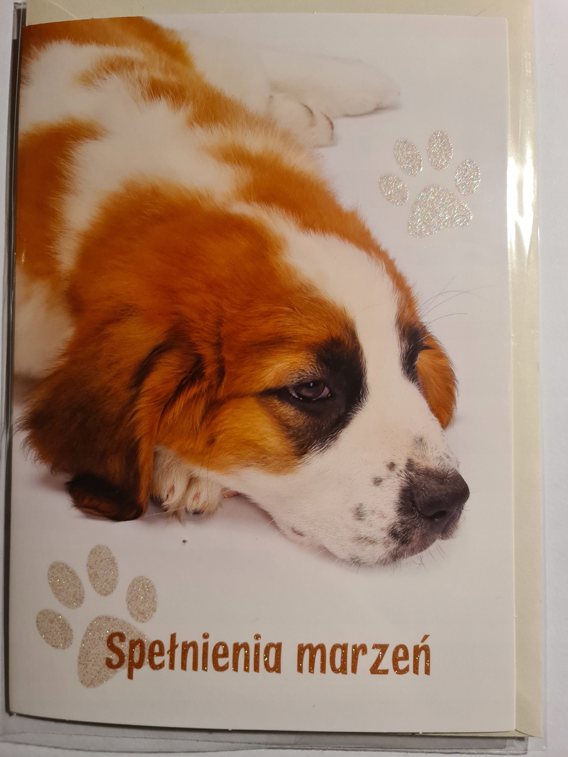 

Kartki urodzinowe kartka urodzinowa karnet urodzi