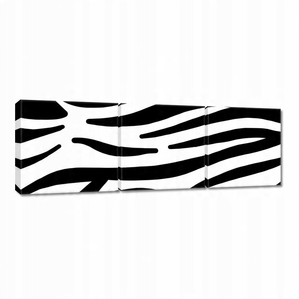 

Obraz 60x20 Zebra Paski