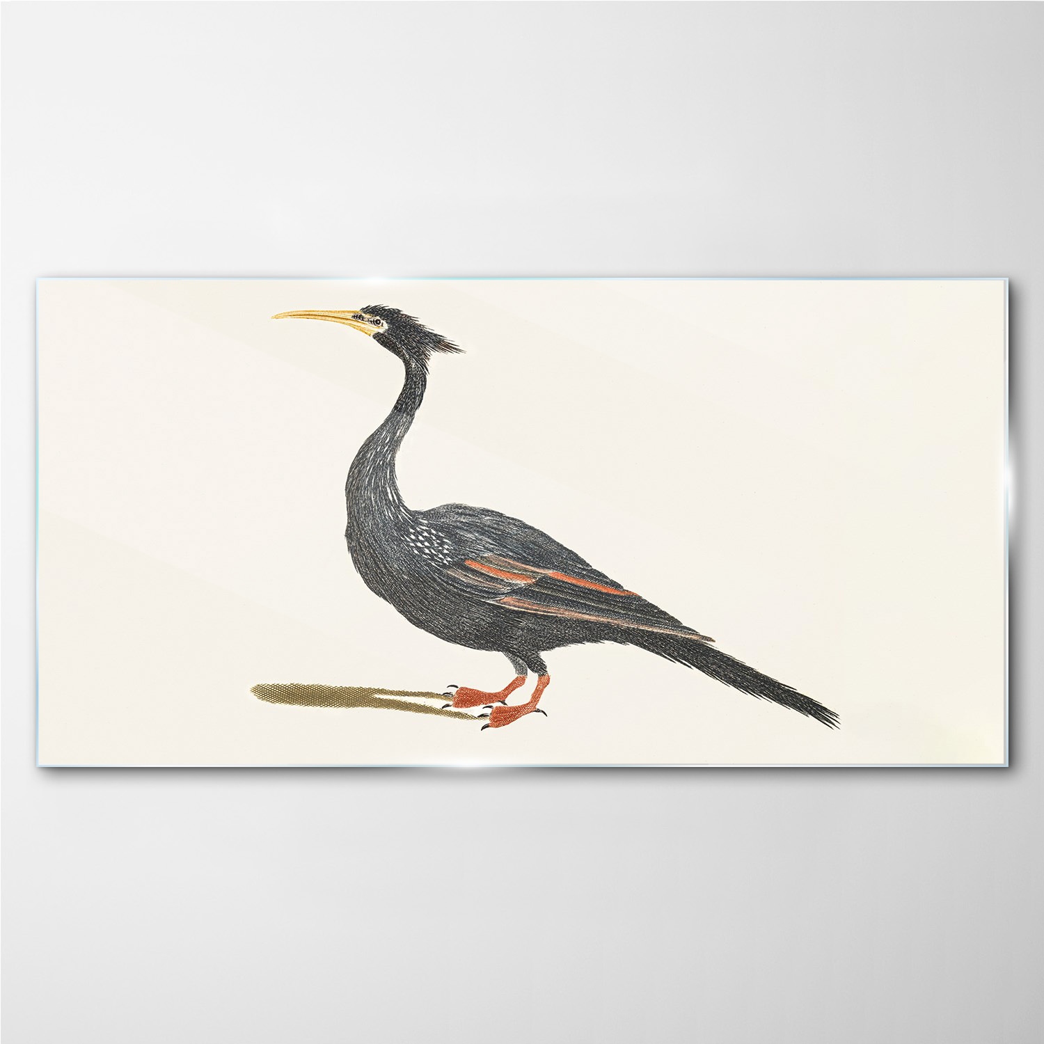

Obraz szklany z nadrukiem Zwierzę ptak 100x50 cm
