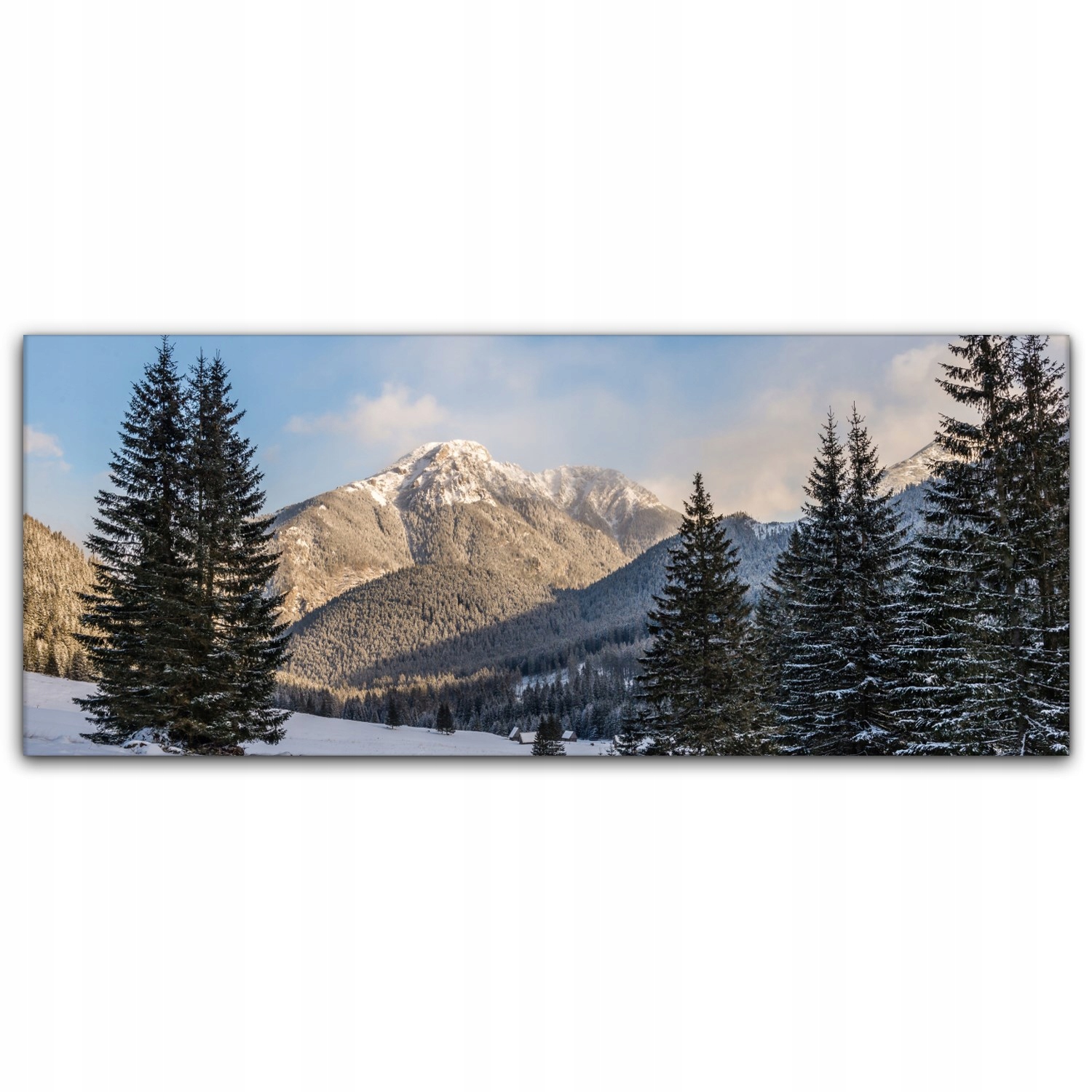 

Fotoobraz na płótnie 125x50 Tatry Góry Krajobraz