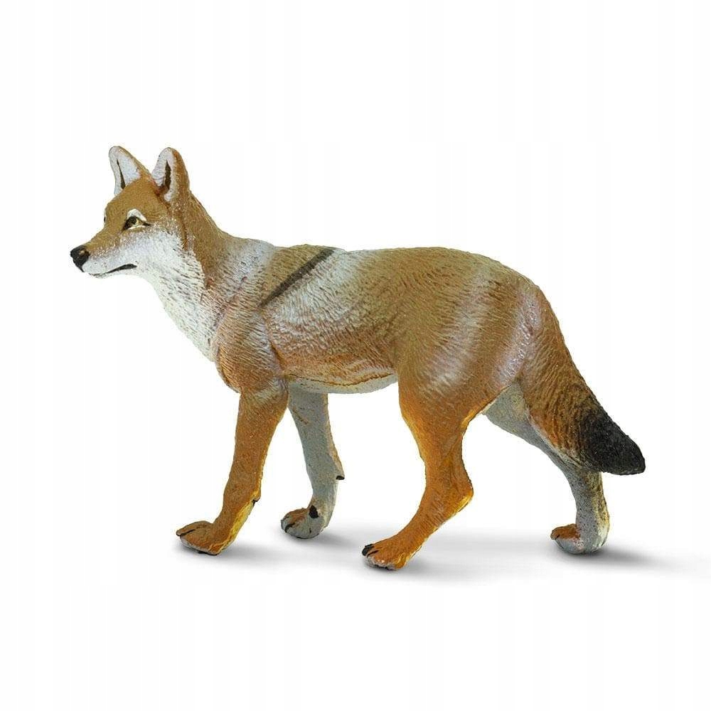 

Kojot Coyote Safari Ltd. 227229