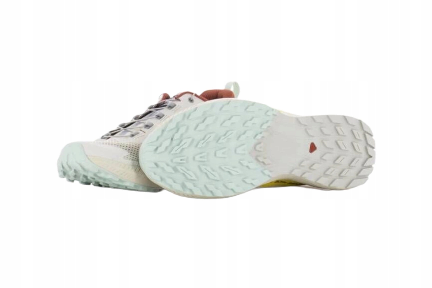 Buty męskie do biegania w terenie SALOMON SENSE RIDE 5 sportowe r. 44 2/3 Długość wkładki 28.5 cm