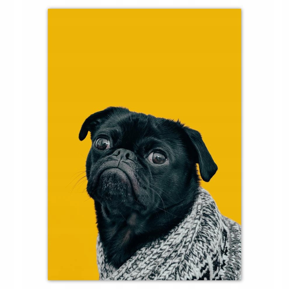 

Naklejki 50x70 Pies Piesek Psiaki