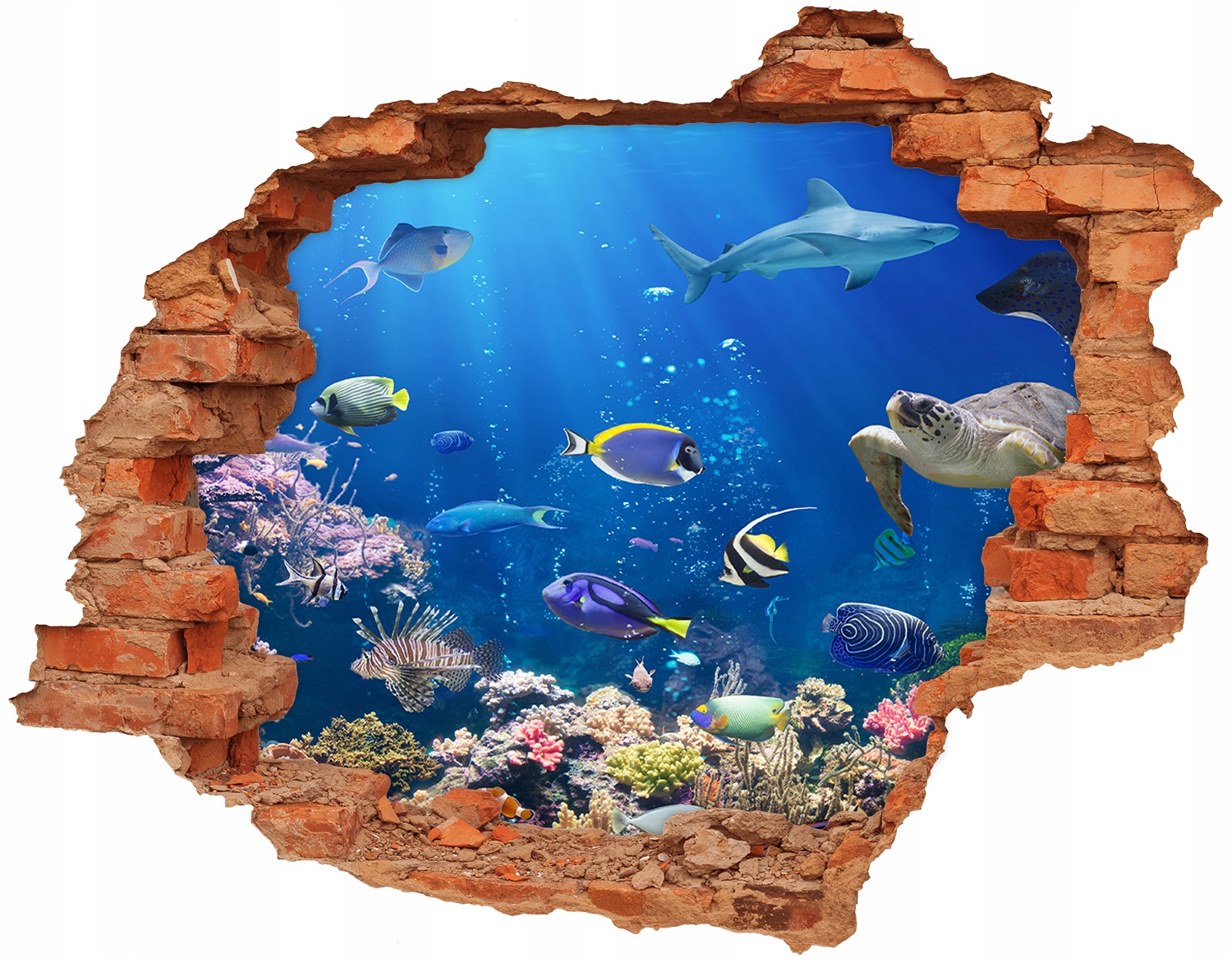 

Dziura 3d fototapeta ścienna Rafa koralowa 90x70