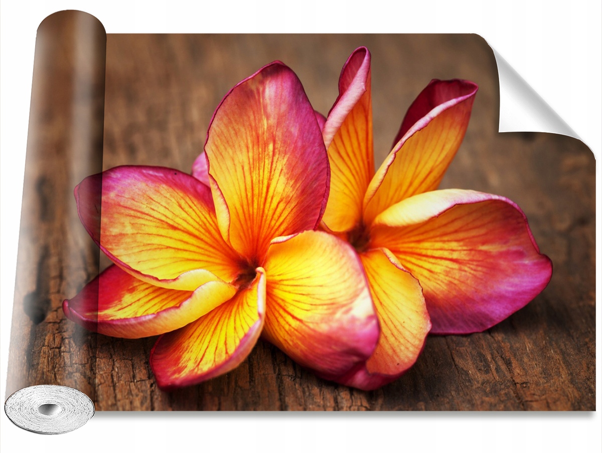 

Tapeta Samoprzylepna Plumeria Drewno 104x70