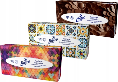 Linteo papírové kapesníky v krabičce, 2vrstvé, 100 ks