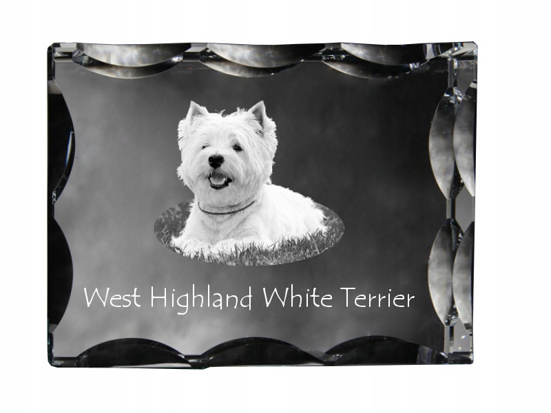 West Highland White Terrier fotografia psa v ozdobnom kryštáli, suvenír