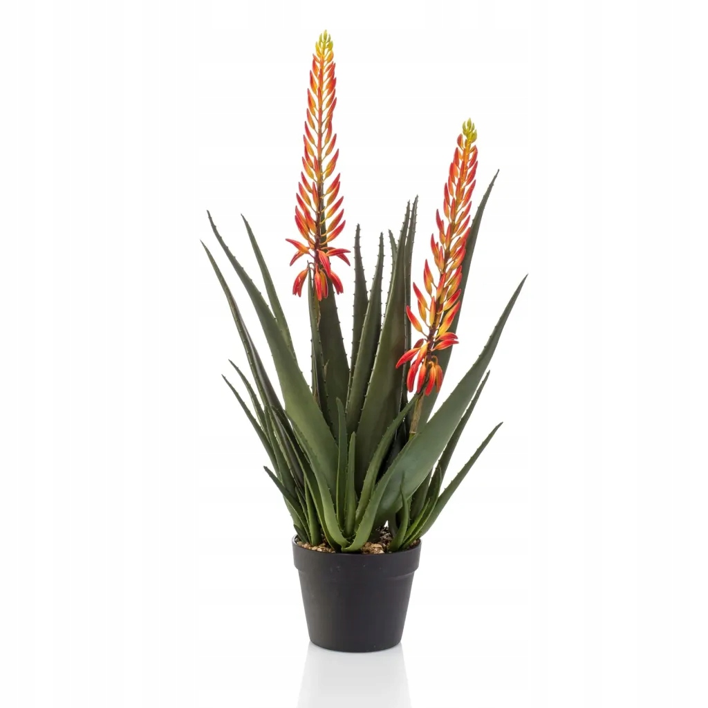 Levně Emerald Umělé aloe se 2 květy, v květináči, 80 cm