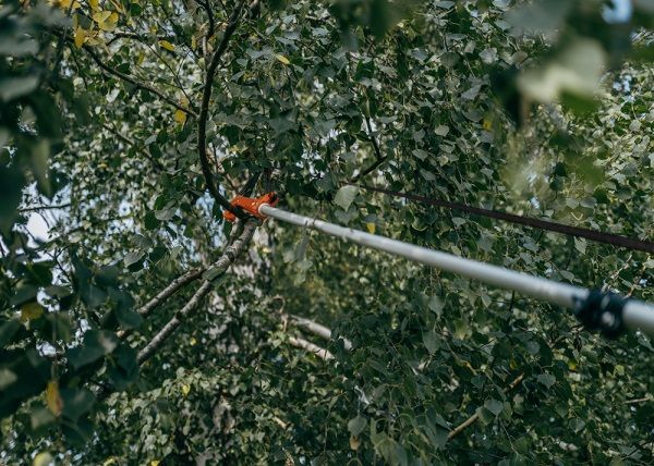 Piła z sekatorem Bradas V-Series KT-V1521-375 Kod producenta Piła z z sekatorem 3,0m