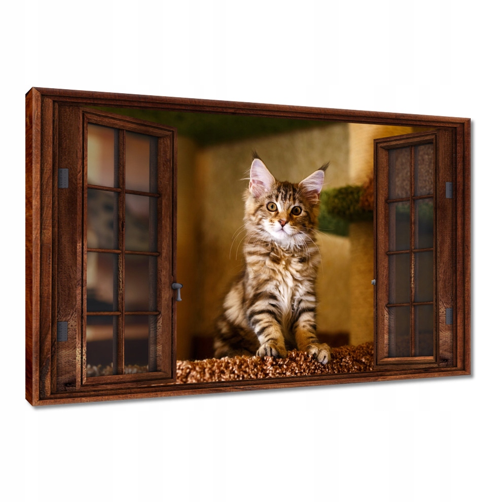 

Obrazy 120x80 Co ja pacze