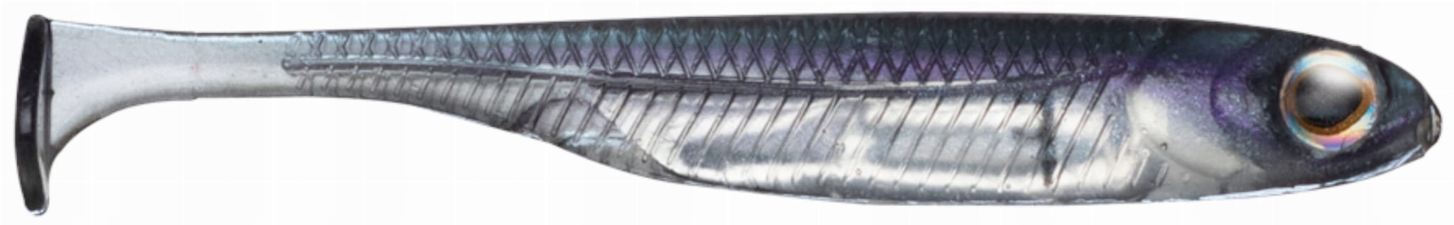 Guma Fish Arrow Flash-j SHAD1 #F25 Lake Wakasagsilver