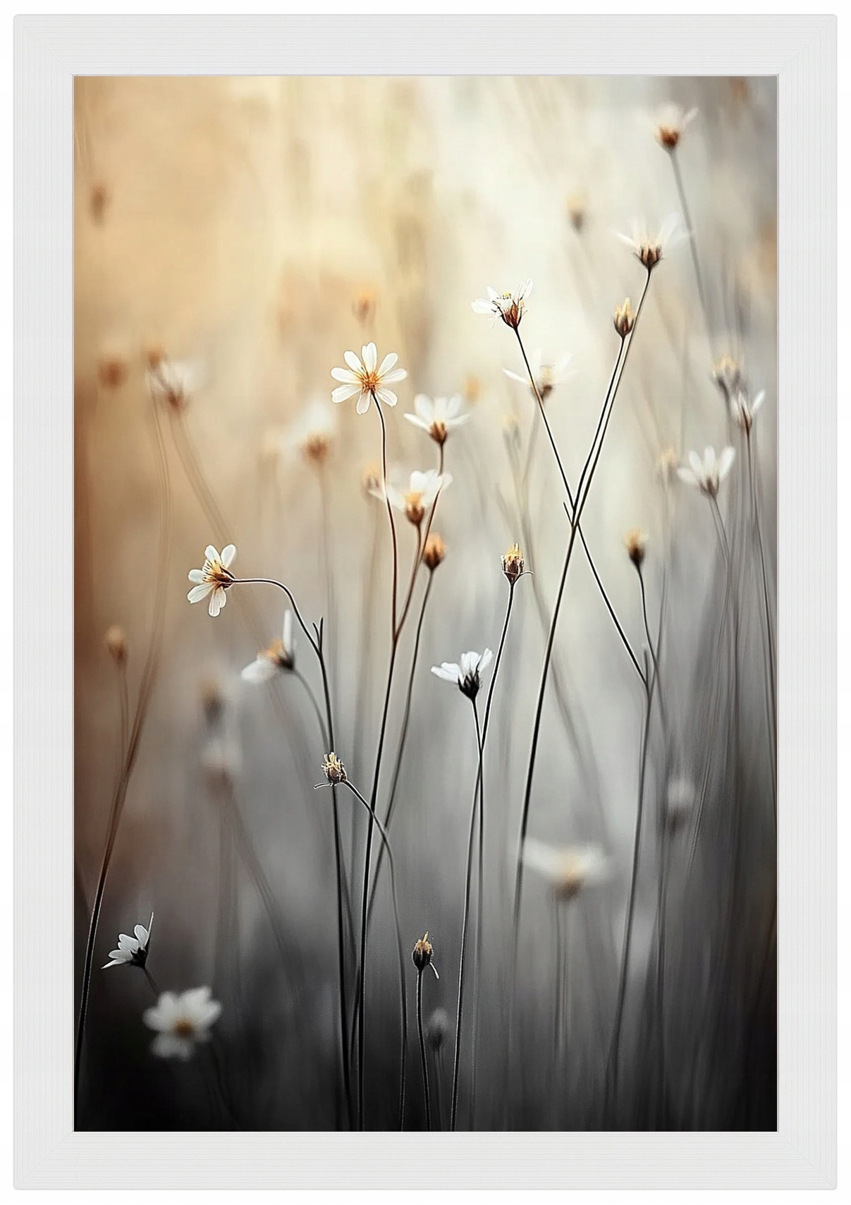 Plakát Rámeček Dřevo Ráno Louka Květiny Sedmikrásky Heřmánek Bokeh 40x60