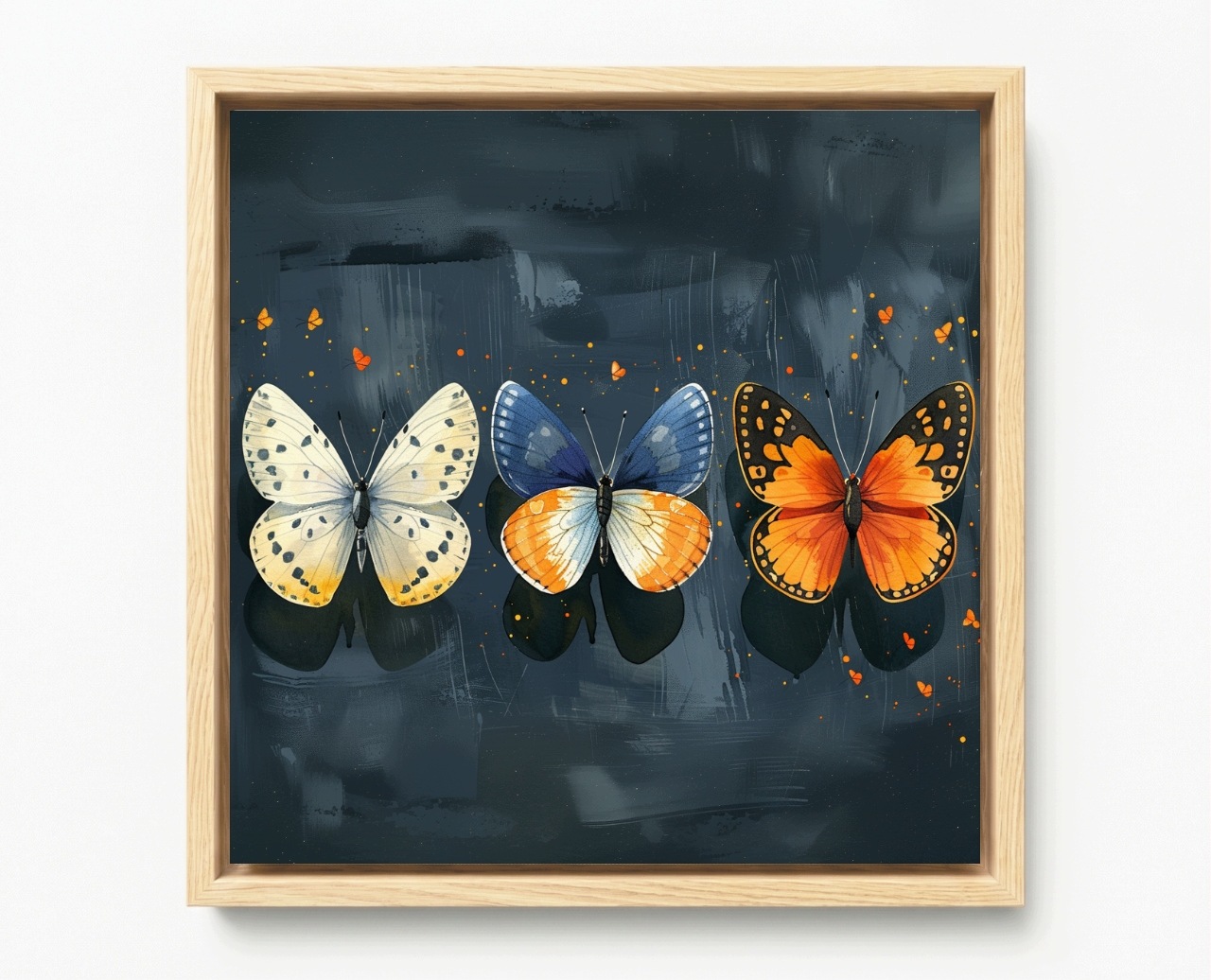 Obraz Rám Americký Box Fauna Příroda Barevné Motýli Hmyz 50x50