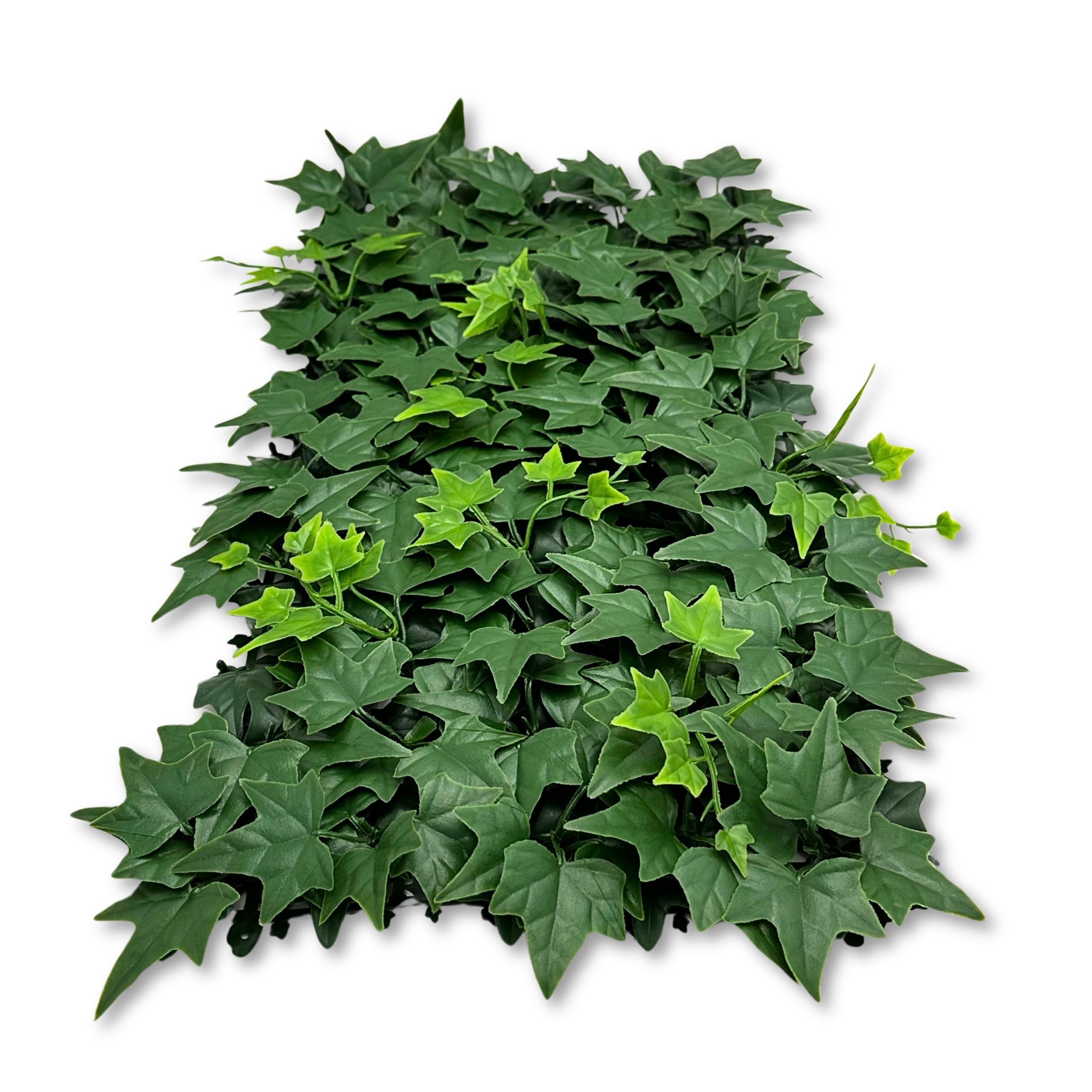 Levně Umělá podložka břečťan, modulární pozadí pro rostlinná terária 50x25 cm