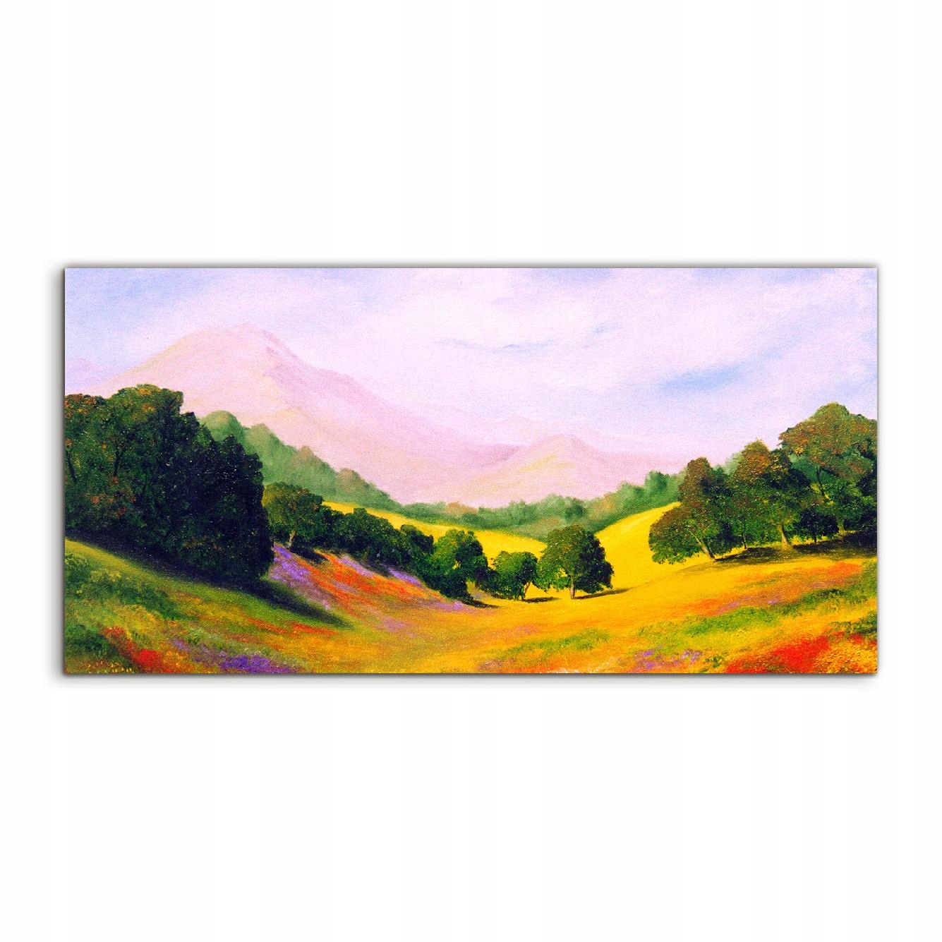 Akrylový obraz 100x50 na stenu Lúka Hory Krajina