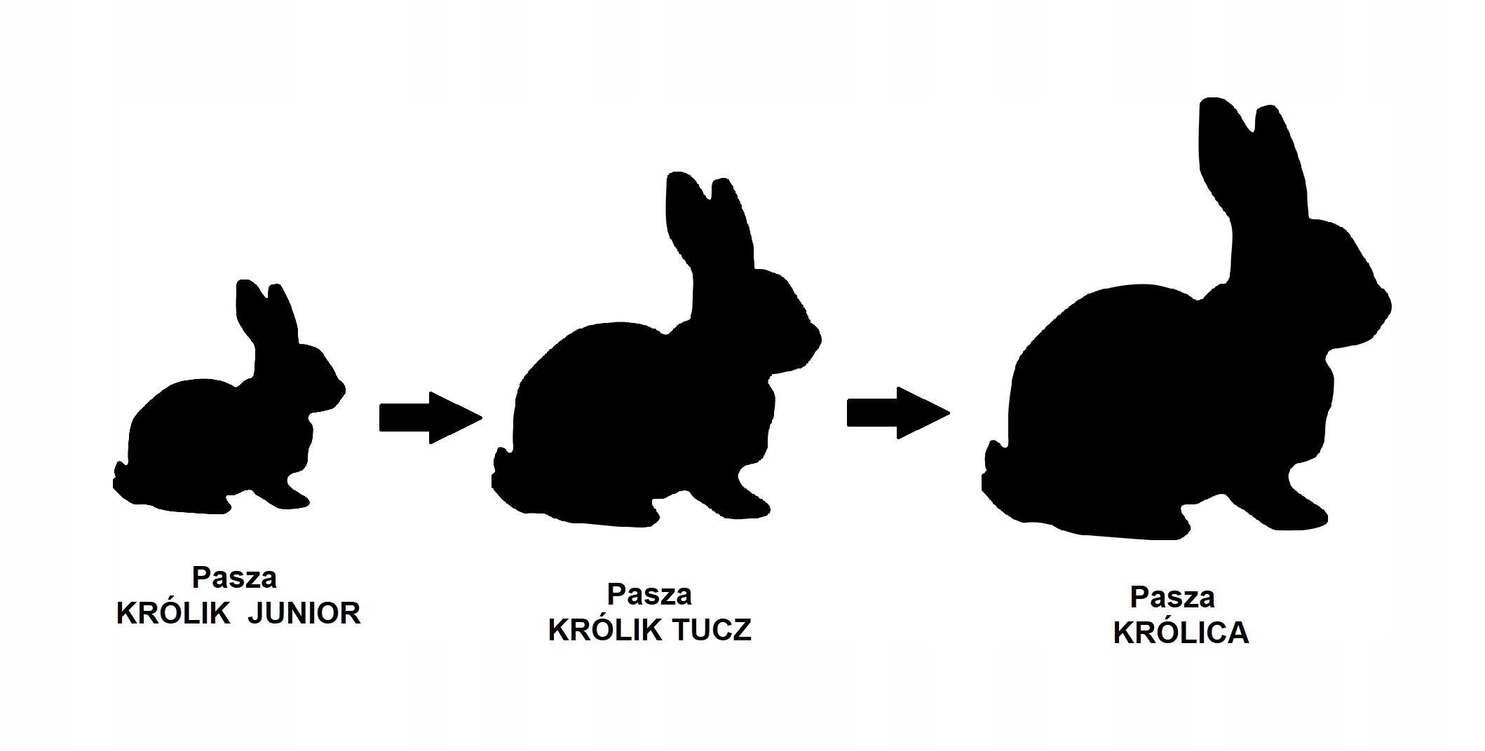 PASZA KRÓLICA PIAST dla matek karmiących 25kg Marka Piast