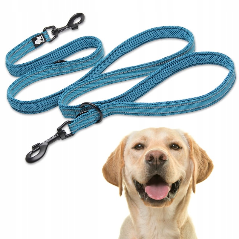 Levně Vodítko Pro Psa Přepínací Reflexní Truelove Active Pro+ 250 CM Modrá L