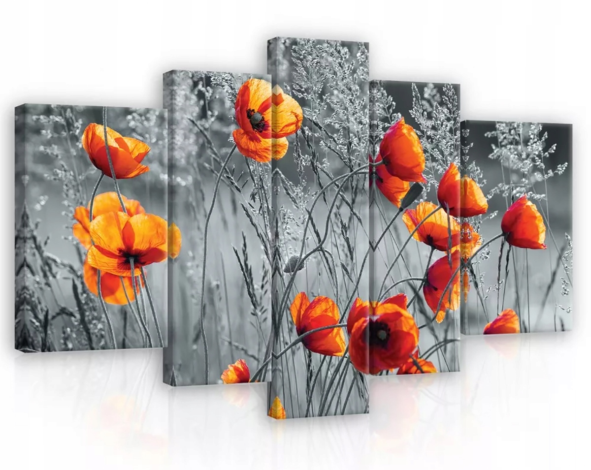 Obraz Na Plátně Canvas 170x100 Maky Květy Louka