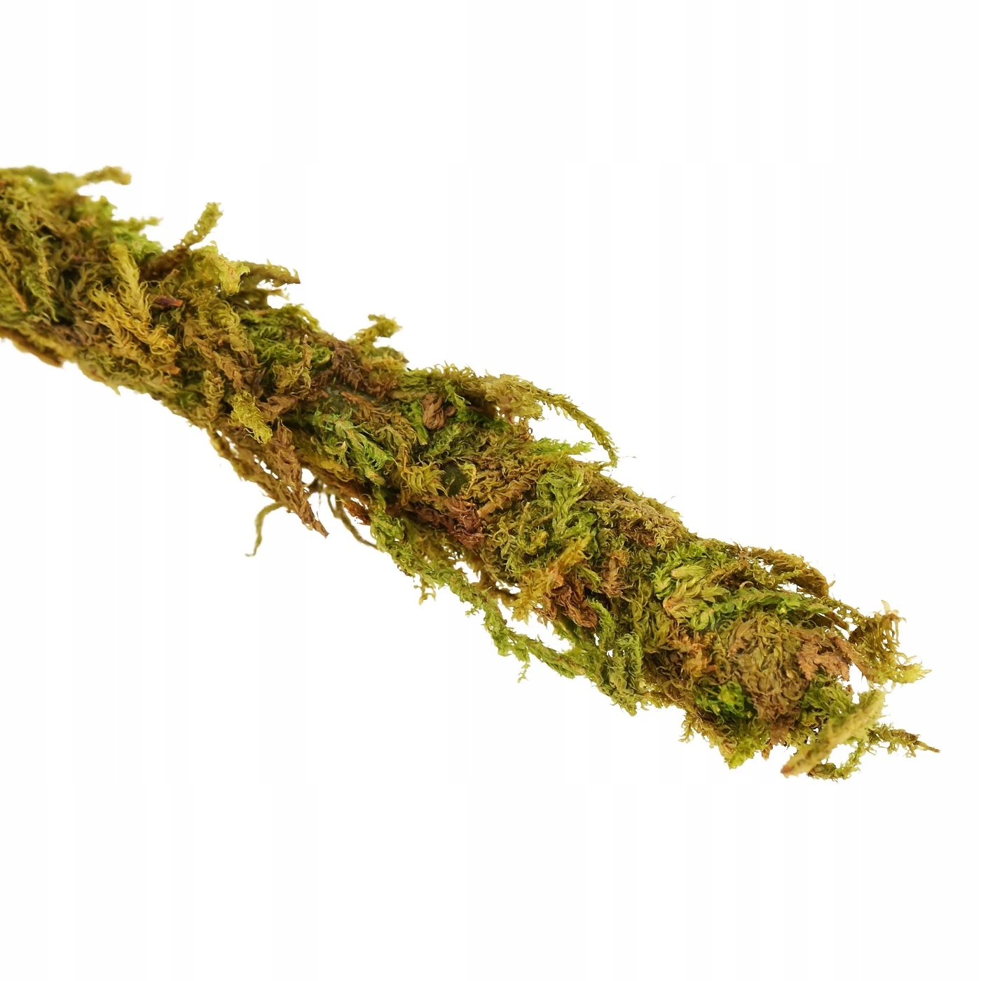 Levně Liana Ohýbaná S Přírodním Mechem Do Terária Pro Plazy, Obojživelník, Větev 2 M