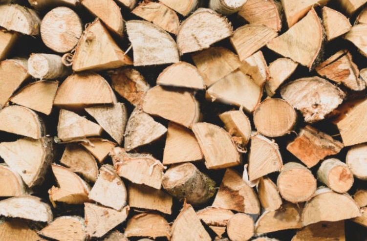 Drewno Kominkowe Opałowe Brzozowe Brzoza 10KG Rodzaj drewna brzoza