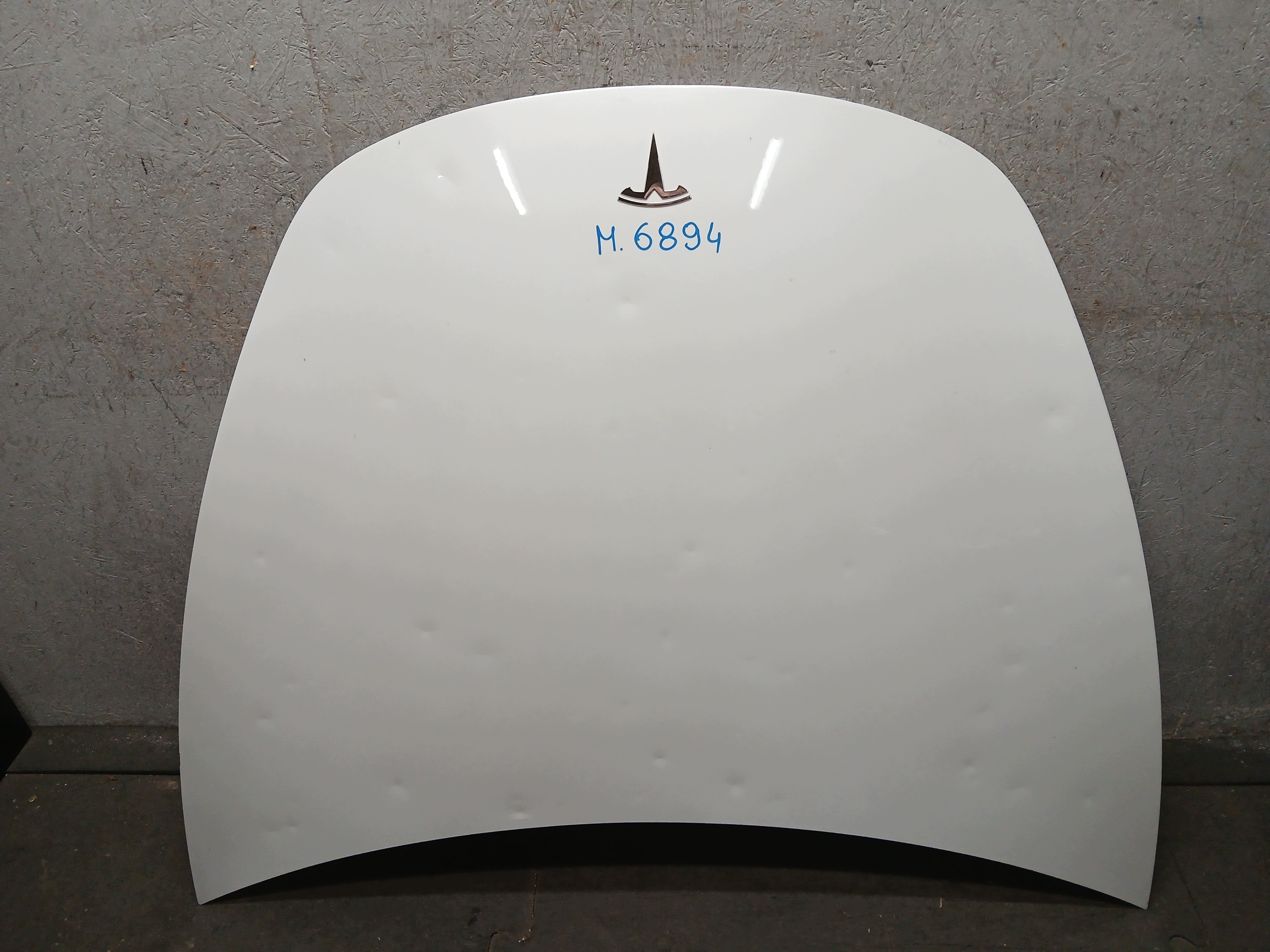 cofano TESLA III 3 grandine