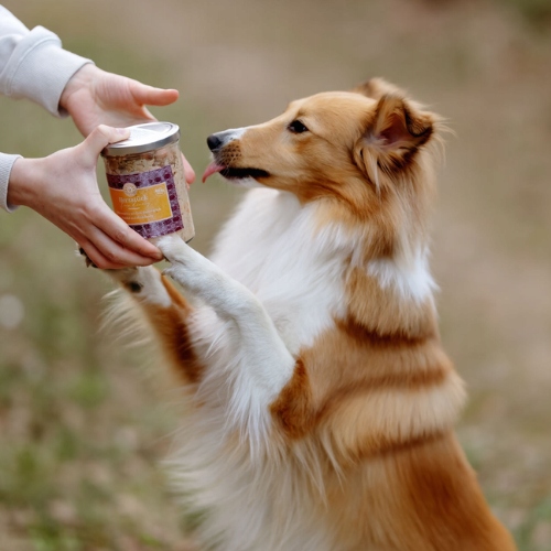 Zestaw karm mokrych dla psa 6×200 g dla alergika, lekkostrawna