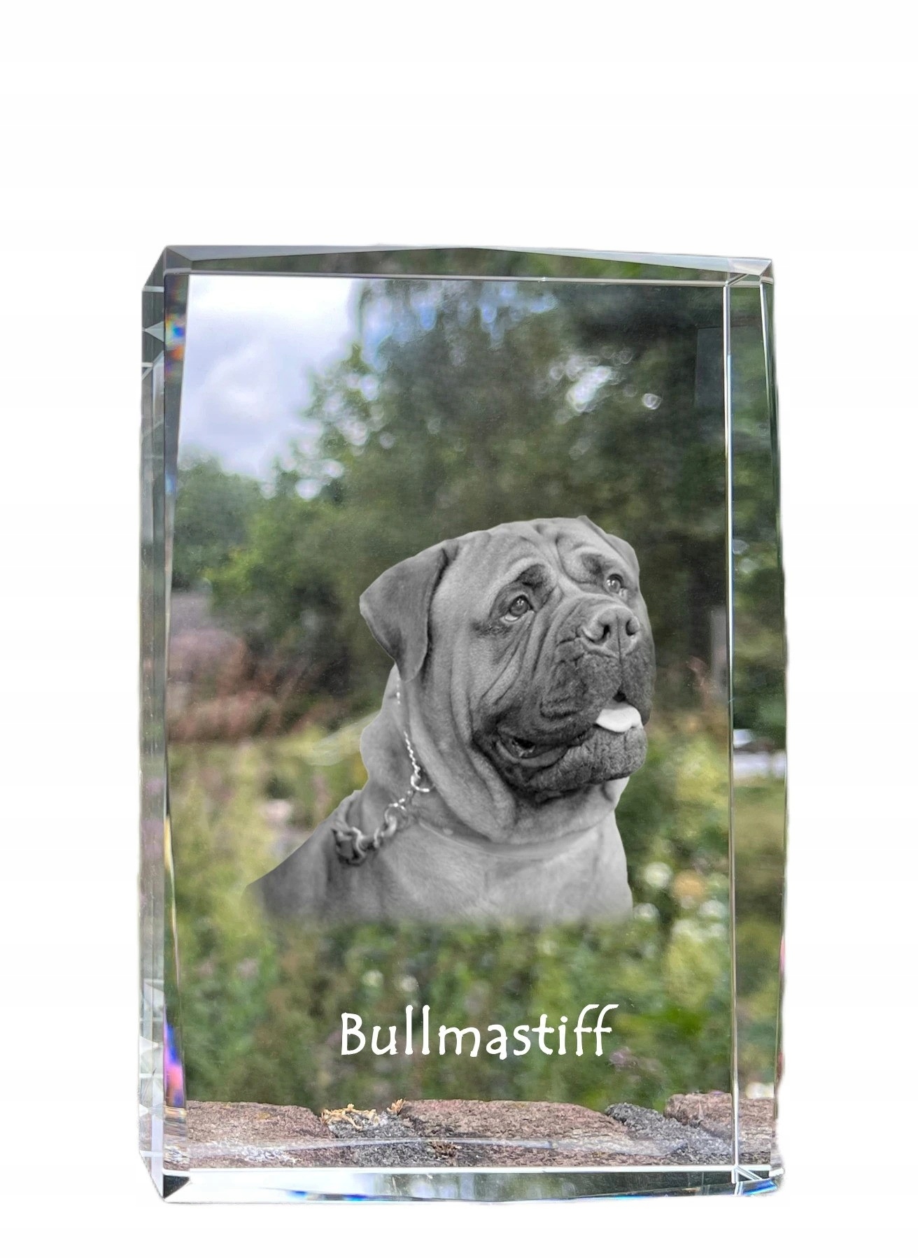 Bullmastiff, Bulmastif kryształ ze zdjęciem psa, zdjęcie w szkle, nowocze