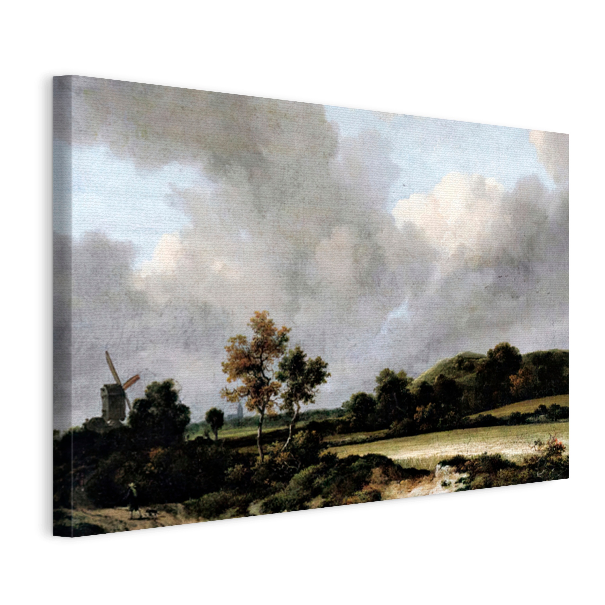 Obraz Na Plátně Jacob Isaackszon Van Ruisdael Obilná Pole 120x80