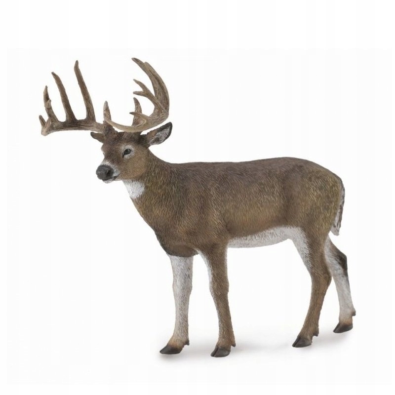

CollectA 88832 Mulak białoogonowy wirgiński sami