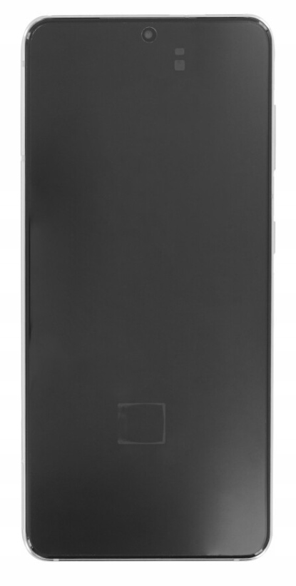 LCD displej Dynamic Amoled Samsung G991B pre kamery