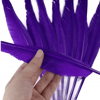 fioletowe - DŁUGIE PIÓRO GĘSIE 30-35 cm