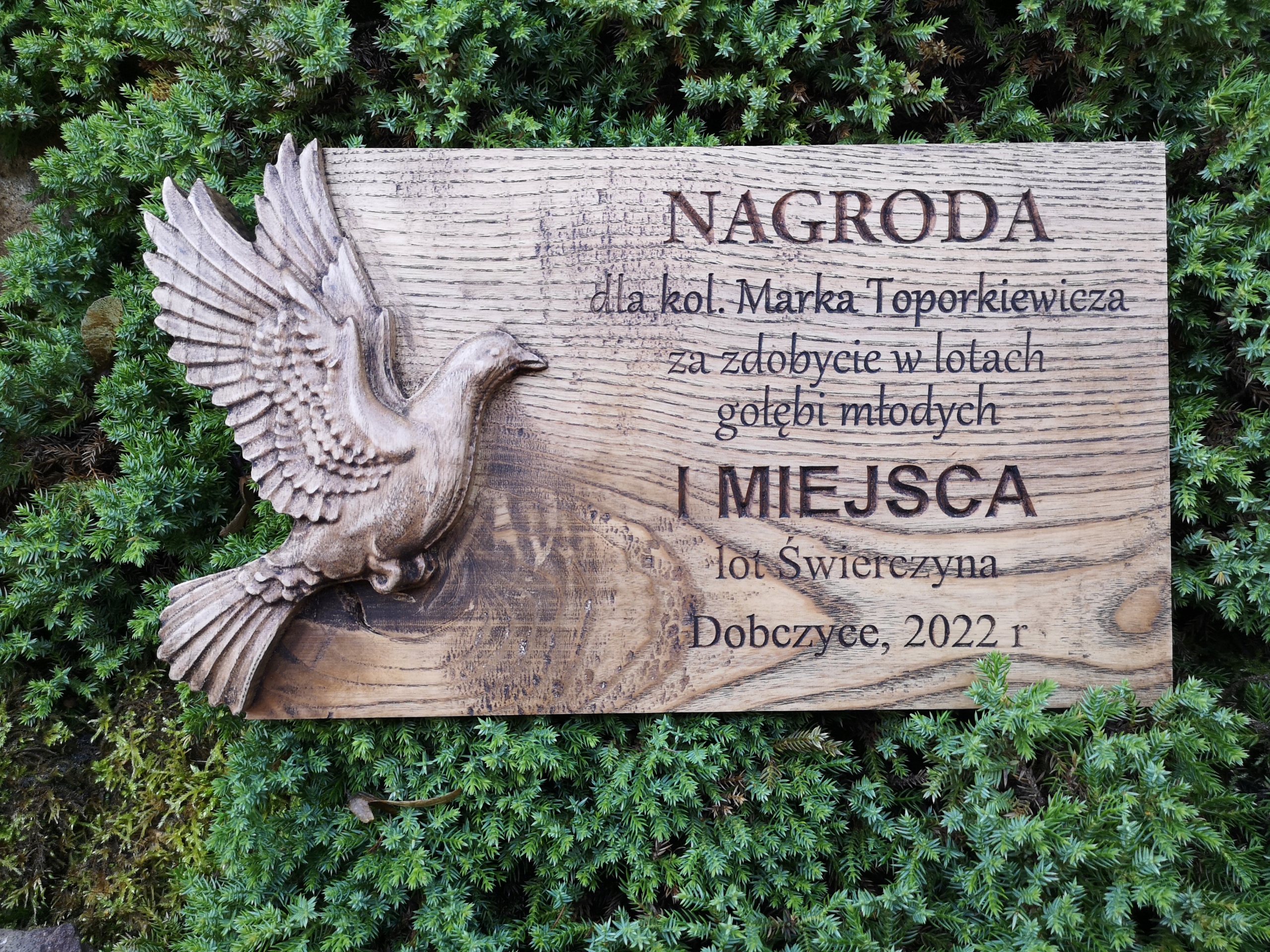 Cena soška vyznamenání do soutěže jubilejní lety holubů ptáků