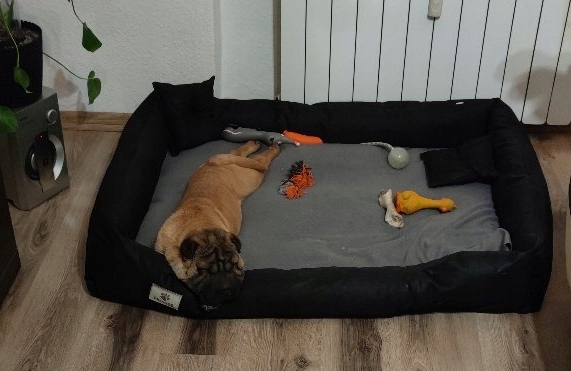 Большая кровать для собак манеж 100x75 см прочный наполнитель силиконовый шар (искусственный пух)