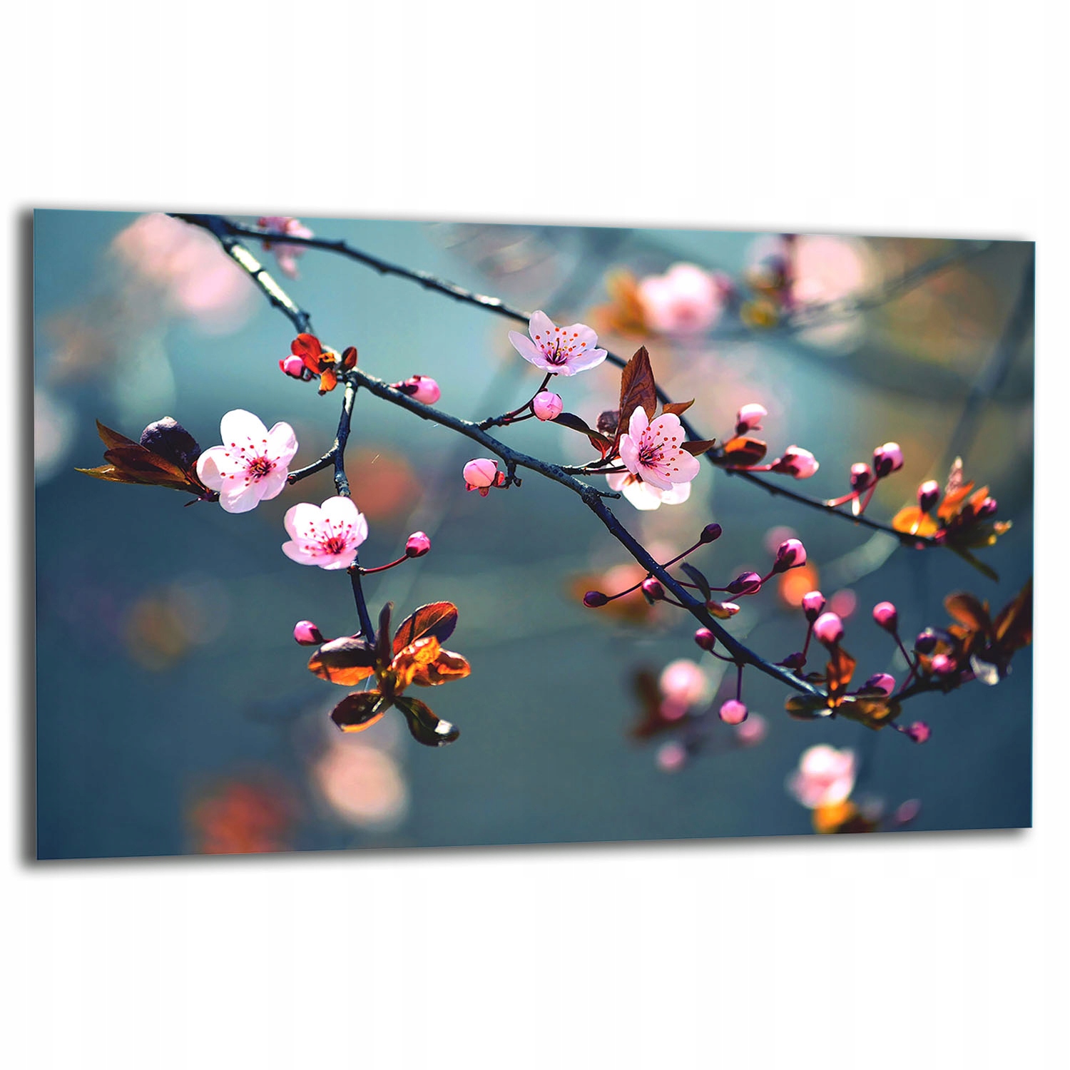 Ochranná Skleněná Deska Na Sporák 80x52 Květiny Tvrzené Sklo Kuchyně 7v1