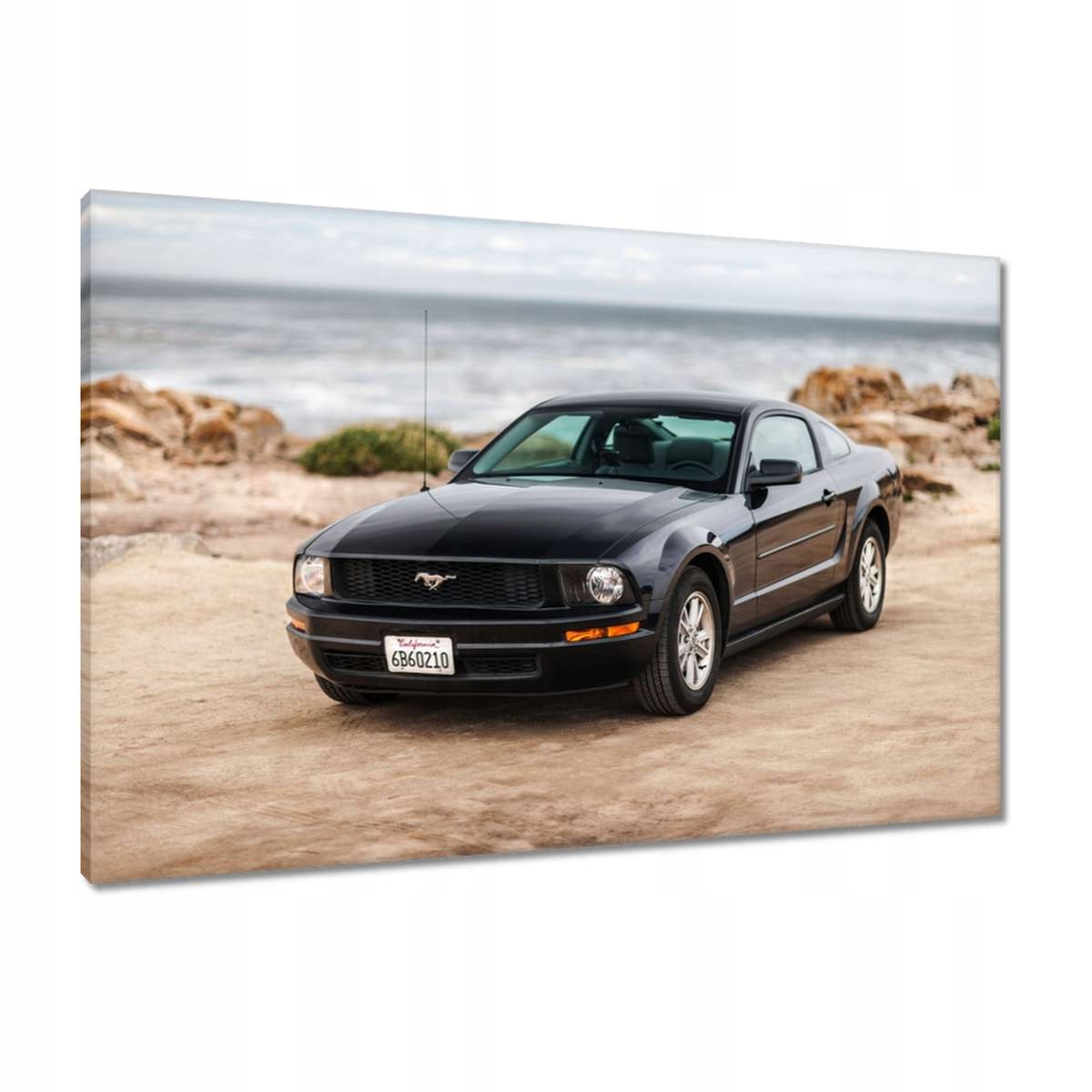 Obrazy 90x60 Černý Ford Mustang