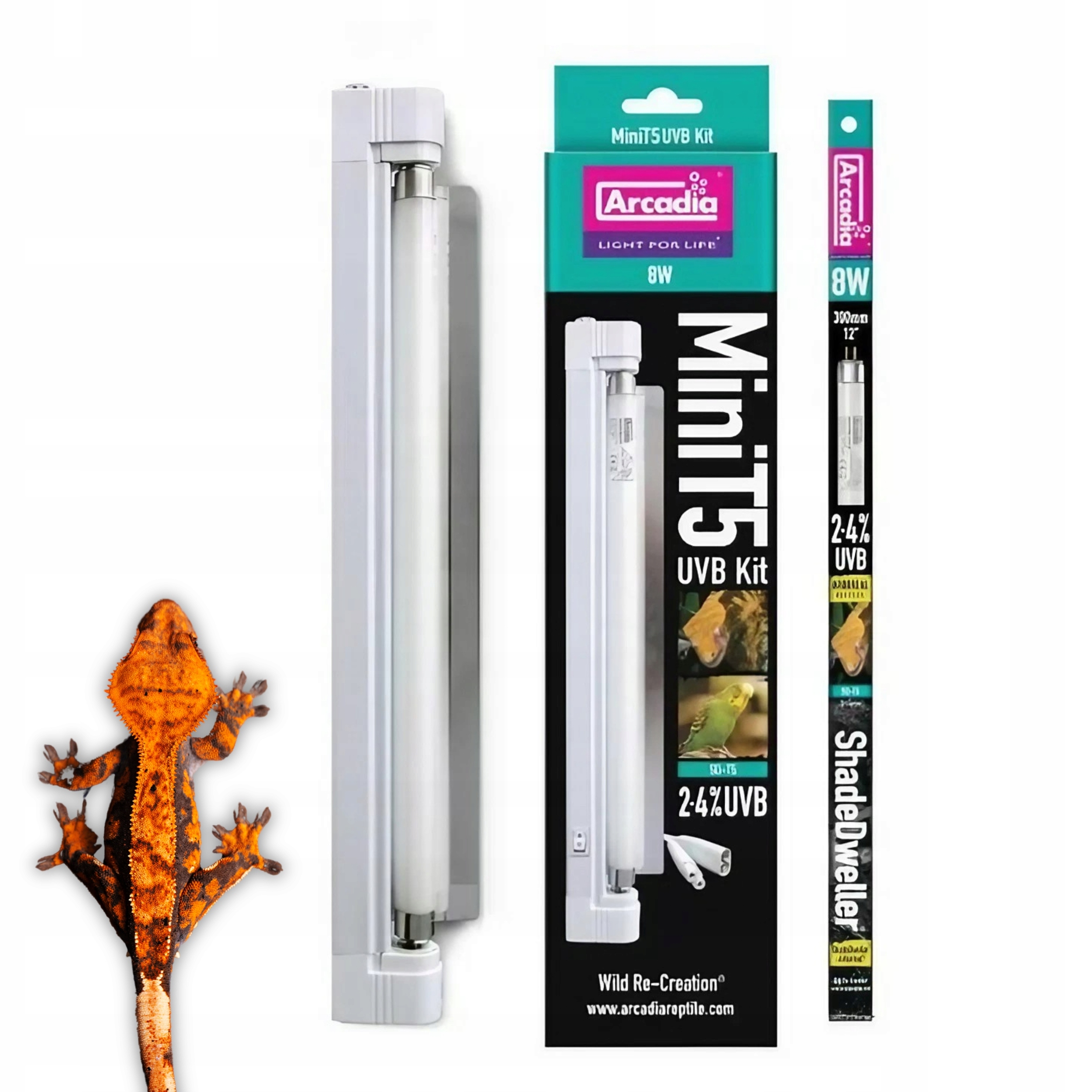 Lampa pro stromové plazy Arcadia Mini T5 Kit 8W 2,4% Uvb 12% Uva