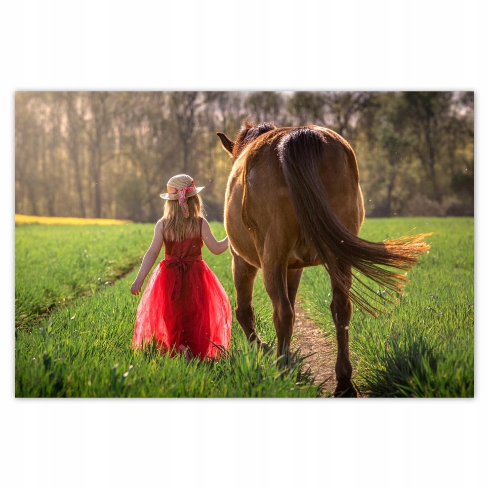 

Plakat 93x62 Koń Konie Jeździectwo