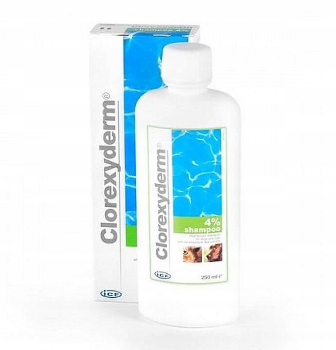 Clorexyderm Shampoo 4 250 ml dla psów i kotów 14017944280 Allegro.pl