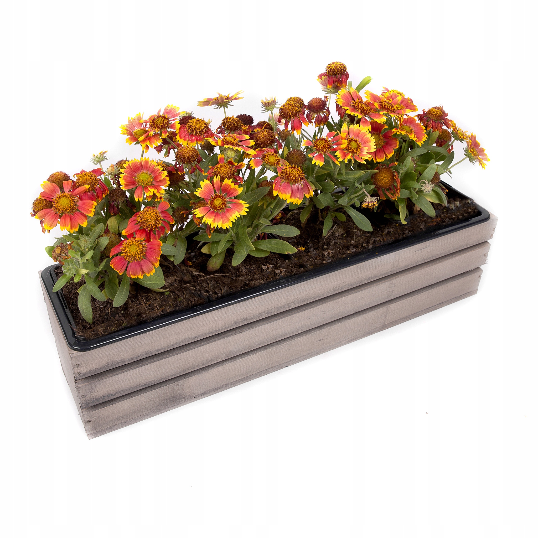 SKRZYNKA BALKONOWA DREWNIANA NA KWIATY WKŁAD SKRZYNKI DREWNIANE NA TARAS Kod producenta skrzynka60szara