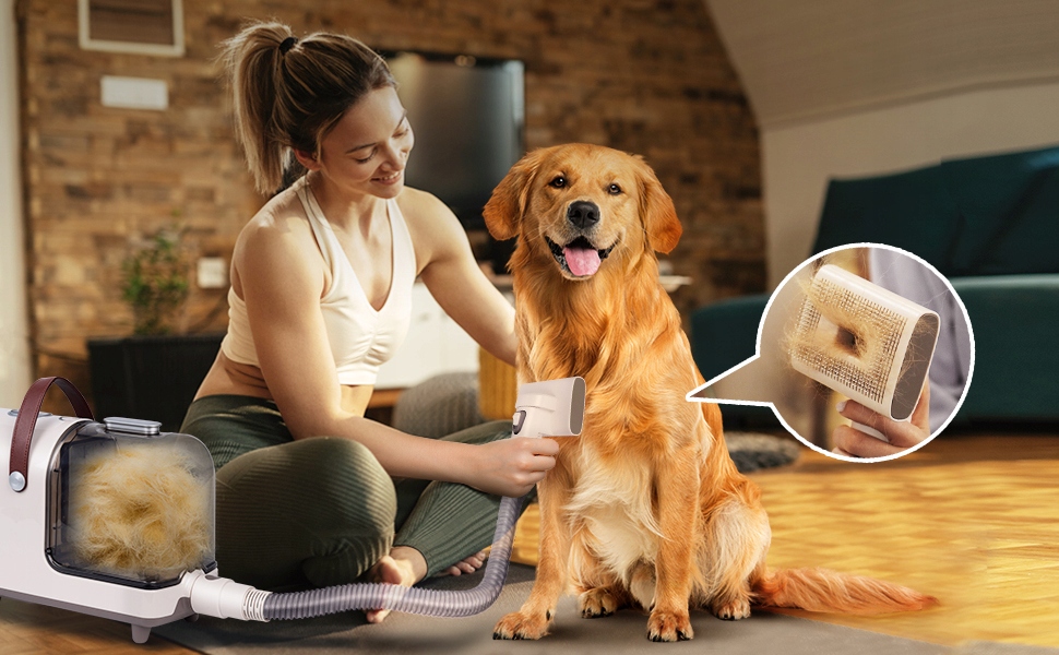 6 w 1 Odkurzacz do sierści psa zwierząt 2.5L 13000 PA Zestaw do pielęgnacji Moc 300 W