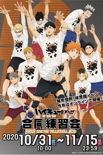 

Plakat Anime Manga Haikyuu hy_008 A1+