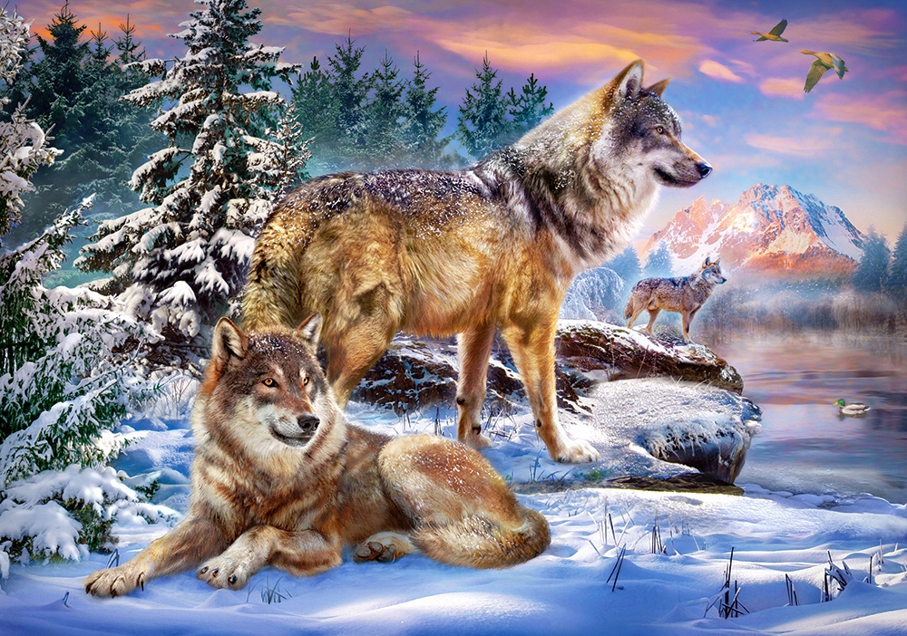 

Puzzle 500 Zwierzęta Las Góry Zima Wilki Castor 9+