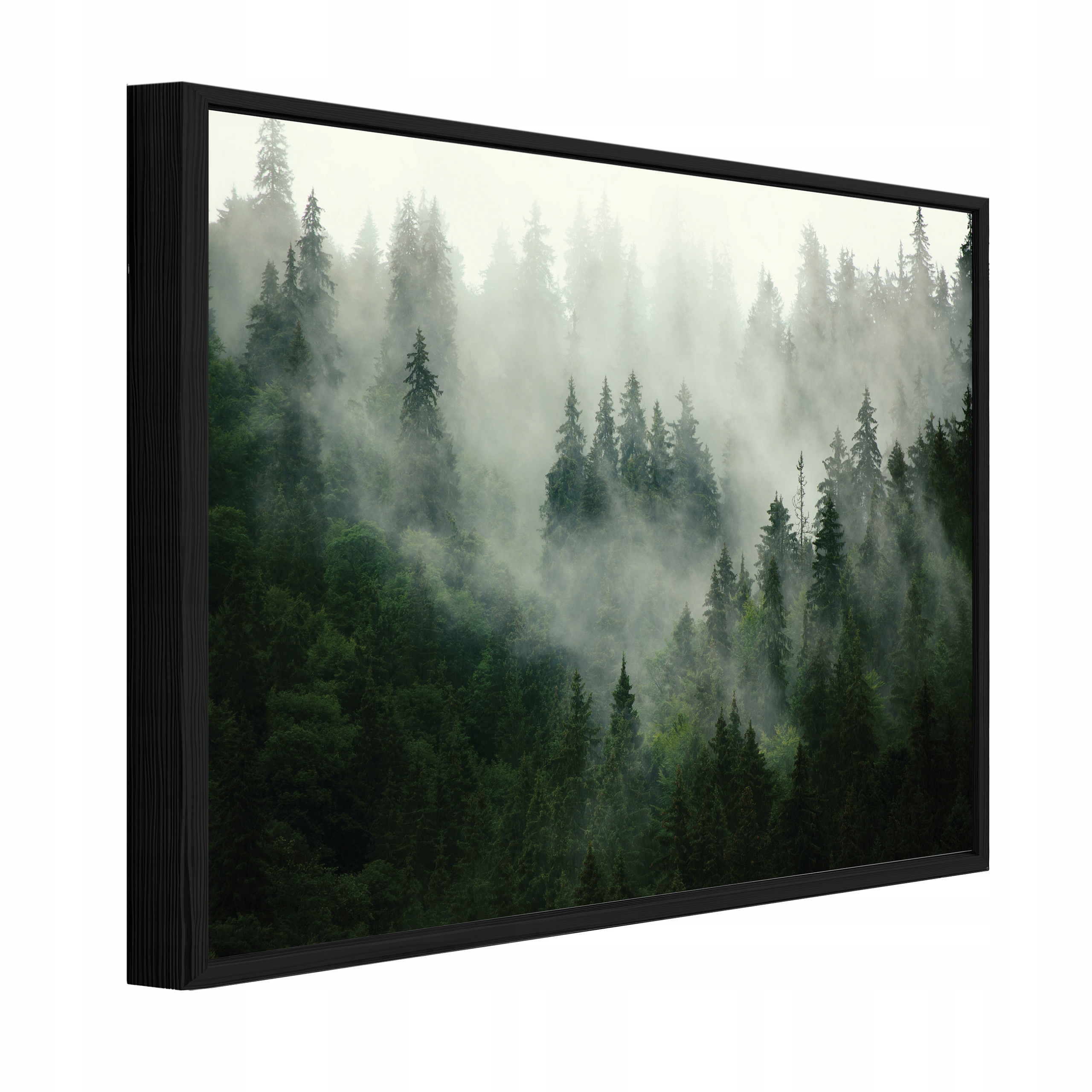 Obraz V Černém Rámu Na Plátně Les V Mlze Příroda Obývací Pokoj Ložnice 60x40